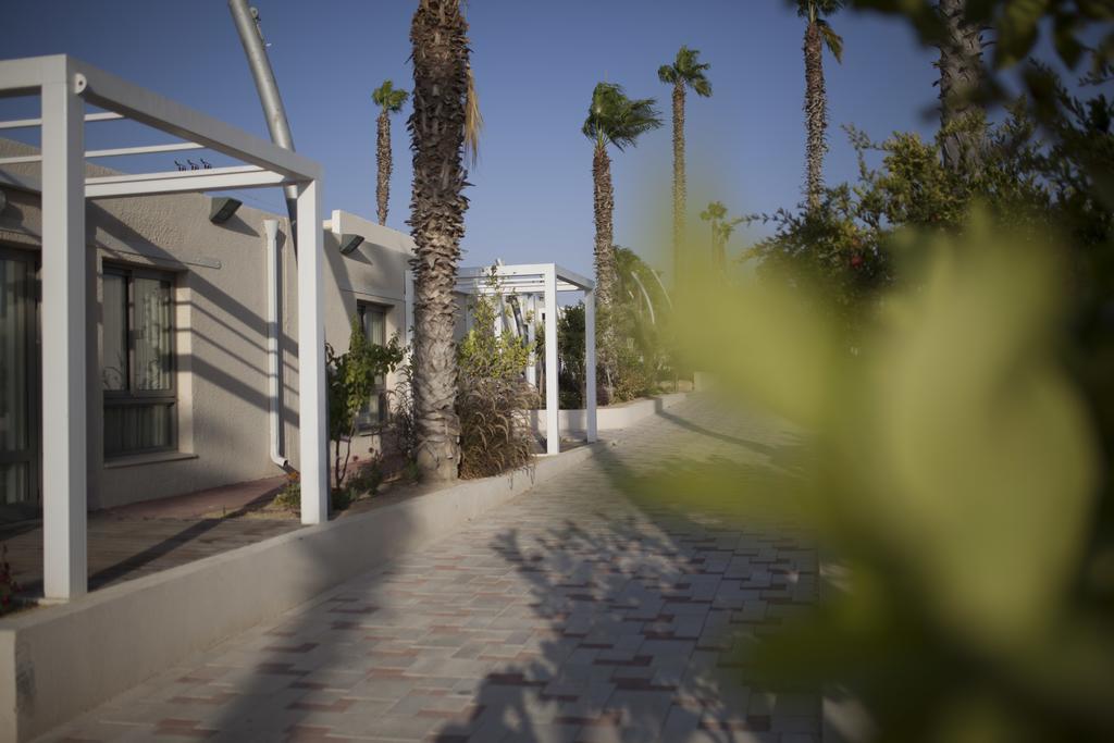 Desert Iris Hotel Yeroham Dış mekan fotoğraf